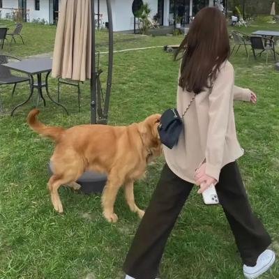 人生七年2